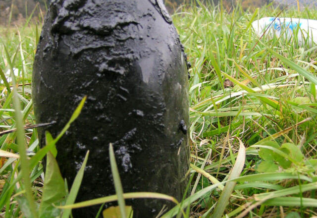 Entnahme und Charakterisierung von verunreinigten Böden. Foto: © Geo3 Entnahme und Charakterisierung von verunreinigten Böden. Foto: © Geo3